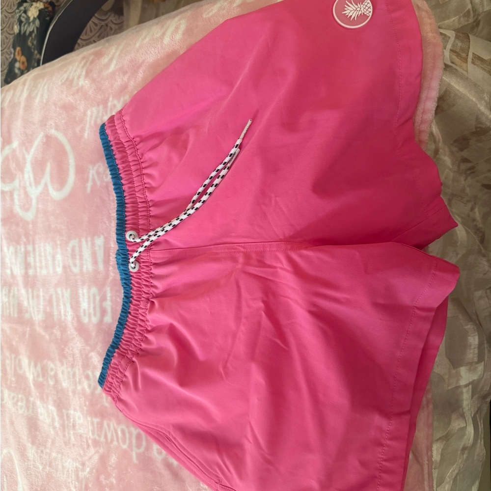 Chubbies Teal and pink Swim Shorts